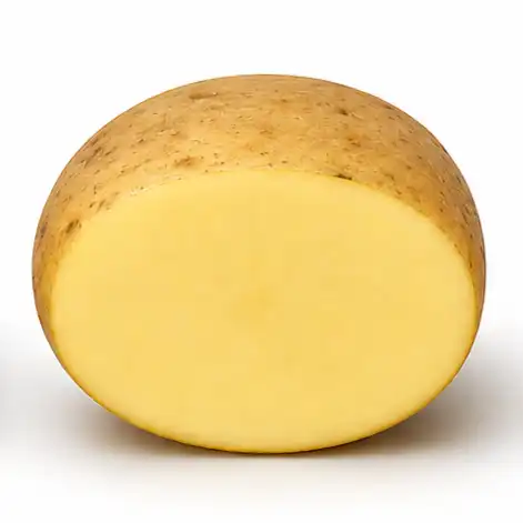 Oval